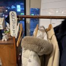 십이안젤로