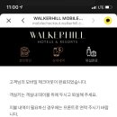 비비드 힐 이미지