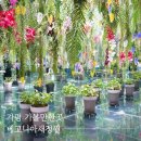 버드나무자판기 | 가평 가볼만한곳 베고니아새정원 꽃정원 동물 먹이주기까지 가능한 여행 코스