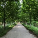 국립아시아문화전당 관광안내소 이미지