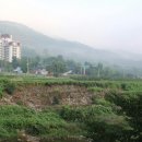 삼화마을 Daum카페
