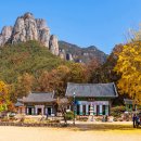 &#34;설악산·지리산 제쳤다&#34; 5060세대가 직접 뽑은 올가을 최고의 단풍 명소 이미지