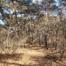 지에스25 곡성옥과점 | [공지] 전남 곡성, 옥과 괘일산, 설산 2