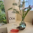 (오어)Oor