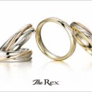 (주)렉스 이미지