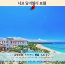 미성세탁 | 오키나와 니코 알리빌라 호텔 후기: 인생 오션뷰, 오키나와 호텔 추천