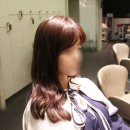 머리염색 고은빛