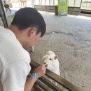 현준목장 이미지