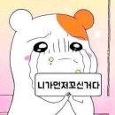 아로 이미지