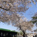 서울 한옥 스테이 서촌 더채 갤러리 숙박 후기 한옥 호텔 3줄 요약 :: 너어어어무 좋았음 ㅠ