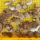 어부네농장 이미지