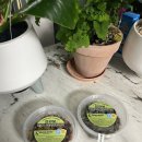 브라보 마이펫 | 기호성 좋은 습식사료 브라보마이펫 강아지화식 추천