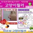 아르보의원 이미지