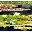 안세치과의원 이미지