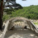 왕피천 숲속 캠핑장 | 울진 계곡 바로 앞 애견동반캠핑장 왕피천숲속캠핑장 2박3일 후기 / 사이트 추천