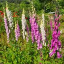 노령산장 이미지