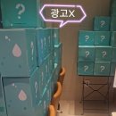 랜덤박스 티스토리
