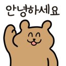 정직한하누1 이미지