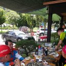 진동돌장어 이미지