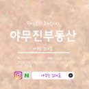 데시앙부동산중개사무소 이미지