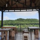 초록잎이 펼치는 세상 이미지