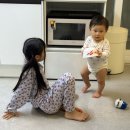 매머드익스프레스롯데마트