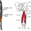 리버스바디 이미지
