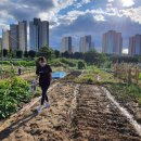 호기농장 이미지