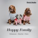 클라라애견 이미지