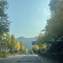 인제 연가리 오토캠핑장 펜션 이미지