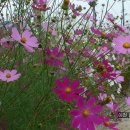 이천무도장 이미지