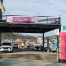 애견호텔1번가 이미지