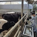 농촌목장 이미지