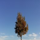 (특강)재미있는 일본어회화 이미지