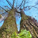 사랑으로 이미지