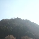 일미리금계찜닭 밀양점