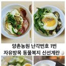 양촌농장 | 여름방학 건강 가정식으로 달라진 아침, 양촌농원 난각번호 1번 자유방목 동물복지 신선계란 후기