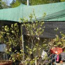 용신농장 이미지