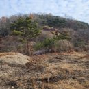 평장농장 이미지