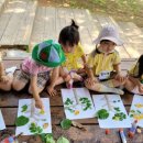 해나라어린이집 이미지