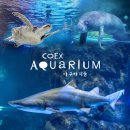 아쿠아리움 이미지