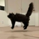 함춘여성의원 이미지