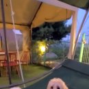 개떼놀이터 인천점 이미지