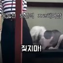 진보헤어샵 | 동두천 보산역 헤어샵 강아지 후기 찾아보니...