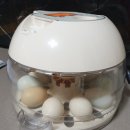 청계충전소 이미지