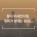 웰킨 천호점