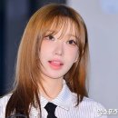 마젠타 Daum카페