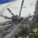 상월곡역1번출구 이미지