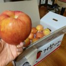 거창-고제-9 이미지