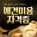한국교육예술연맹 | 애견미용자격증종류 대표적인 자격증 시험 필기와 실기 알아보기